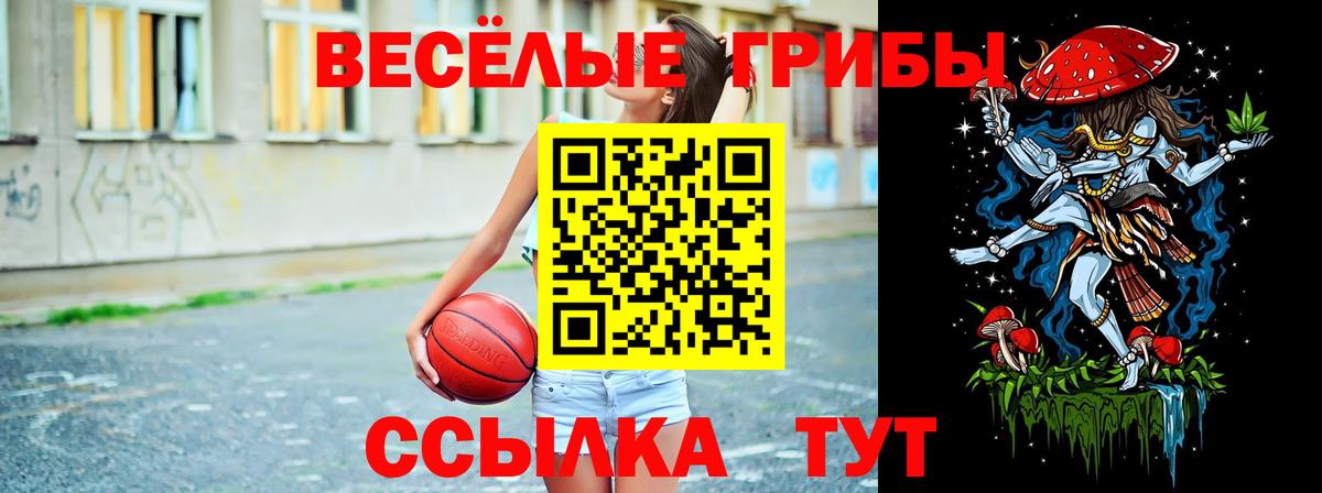 Рязань  Псилоцибиновые грибы ЛСД  Вход с VPN  Галлюциногенные грибы мухоморы 