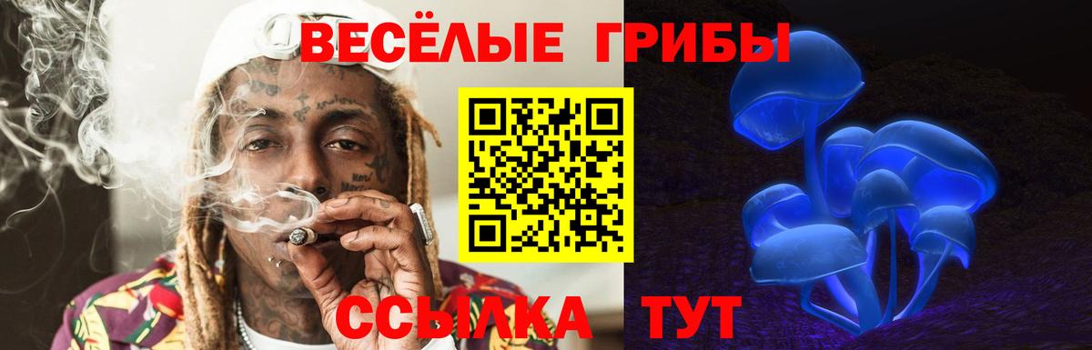 Псилоцибиновые грибы Psilocybine cubensis Рязань
